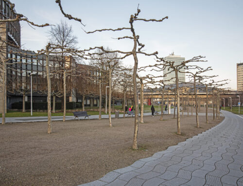 Landtag / Rheinpromenade Düsseldorf