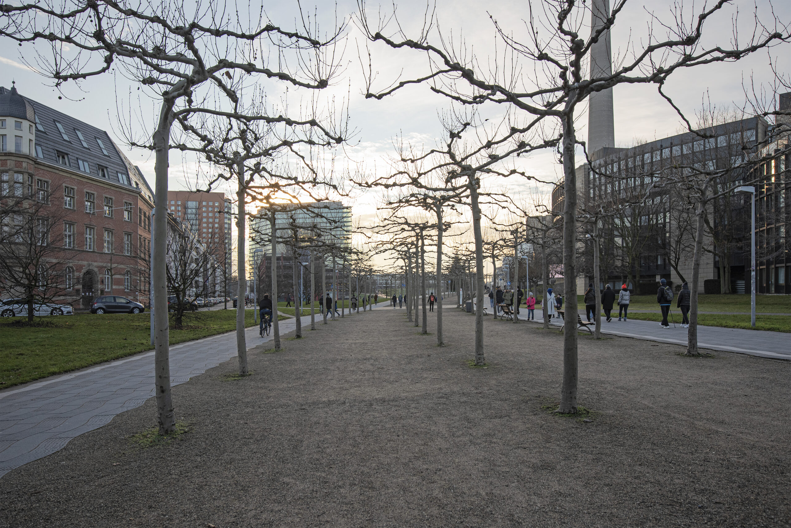 Landtag-Rheinpromenade_4